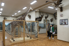 برگزاری مسابقه «لینگوکاپ» در البرز