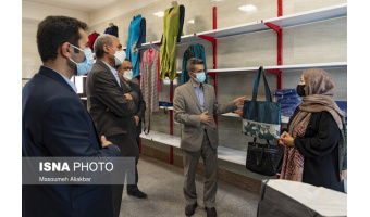 از تجربه ۹ کشور دنیا در طرح ساماندهی مشاغل خانگی استفاده کرده‌ایم